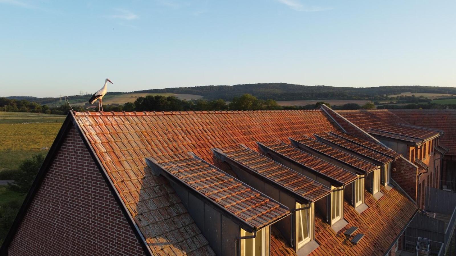 Biohotel Stiftsgut Wilhelmsgluecksbrunn Creuzburg Exterior foto